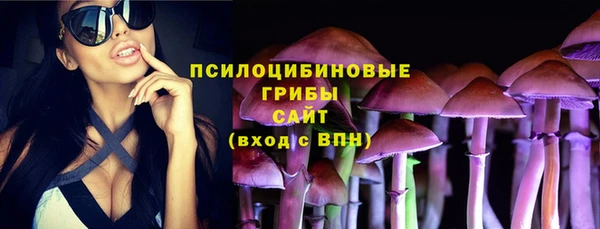 тгк Аркадак