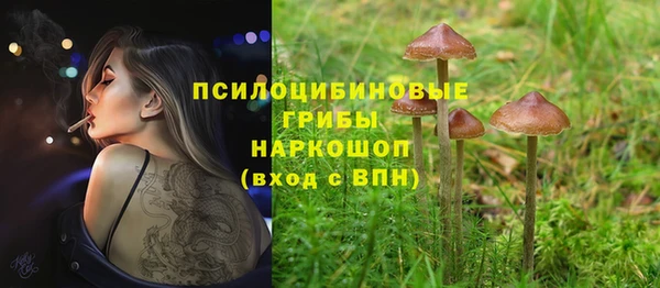 тгк Аркадак