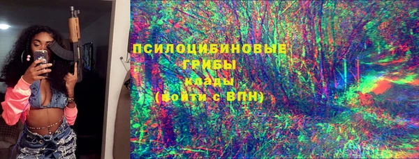 тгк Аркадак