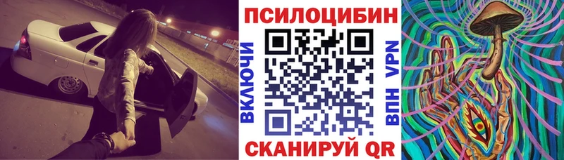 Галлюциногенные грибы прущие грибы  сайты даркнета состав  omg зеркало  Новодвинск  хочу наркоту 