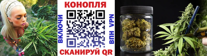 Марихуана планчик  как найти закладки  Новодвинск 